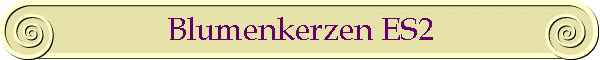 Blumenkerzen ES2